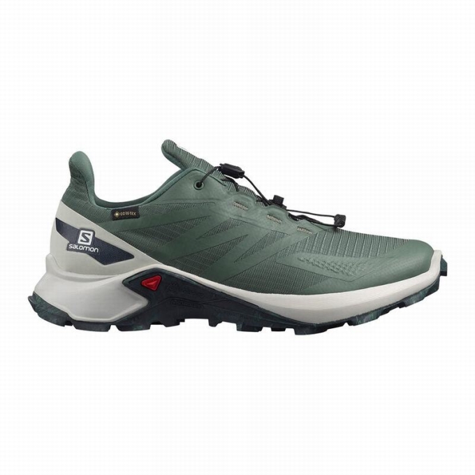 Tenis Para Trail Running Salomon SUPERCROSS BLAST GTX Hombre Verdes | MX-256BZNW