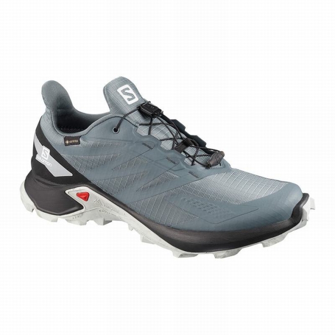 Tenis Para Trail Running Salomon SUPERCROSS BLAST GTX Hombre Azules Oscuro Negros | MX-298RIWA