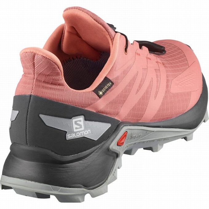 Tenis Para Trail Running Salomon SUPERCROSS BLAST GTX W Mujer Rojos Oscuro | MX-651CIXH