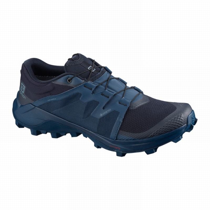 Tenis Para Trail Running Salomon WILDCROSS GTX Hombre Azul Marino | MX-951RXUE