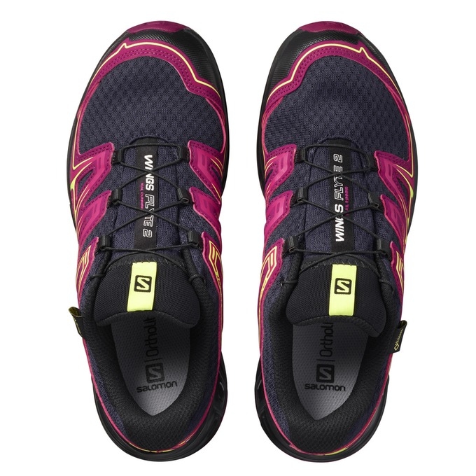 Tenis Para Trail Running Salomon WINGS FLYTE 2 GTX W Mujer Rosas Azul Marino | MX-531KUVS