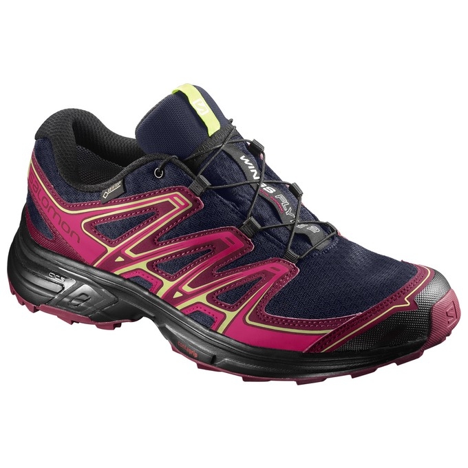 Tenis Para Trail Running Salomon WINGS FLYTE 2 GTX W Mujer Rosas Azul Marino | MX-531KUVS