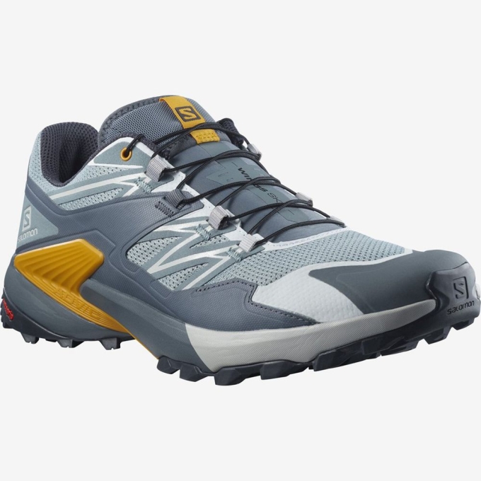 Tenis Para Trail Running Salomon WINGS SKY Hombre Slategray | MX-426FBTP