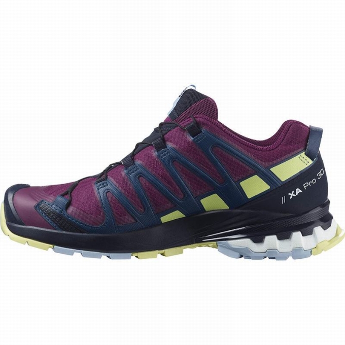 Tenis Para Trail Running Salomon XA PRO 3D V8 GORE-TEX Mujer Morados | MX-158PIJO