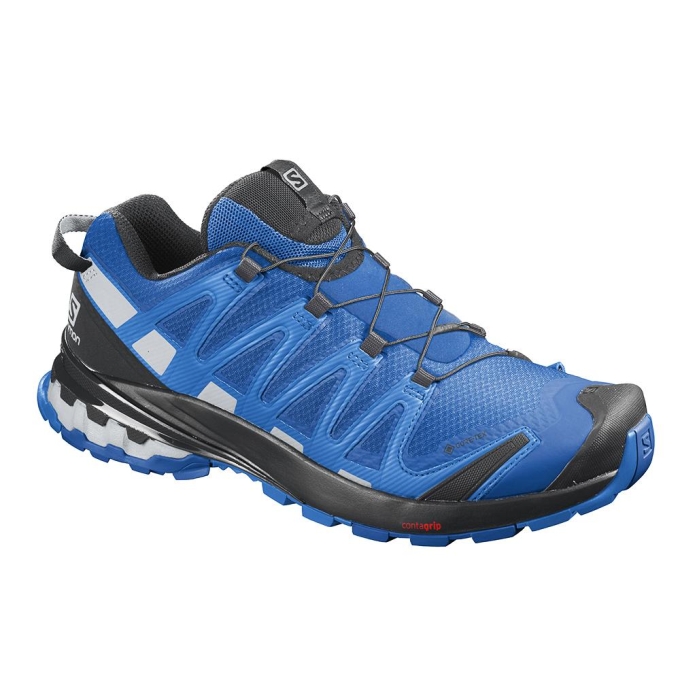 Tenis Para Trail Running Salomon XA PRO 3D V8 GORE-TEX Hombre Azul Marino | MX-186UKSV