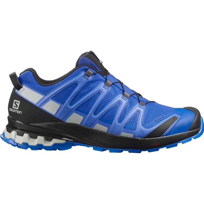 Tenis Para Trail Running Salomon XA PRO 3D V8 GORE-TEX Hombre Azul Marino | MX-186UKSV