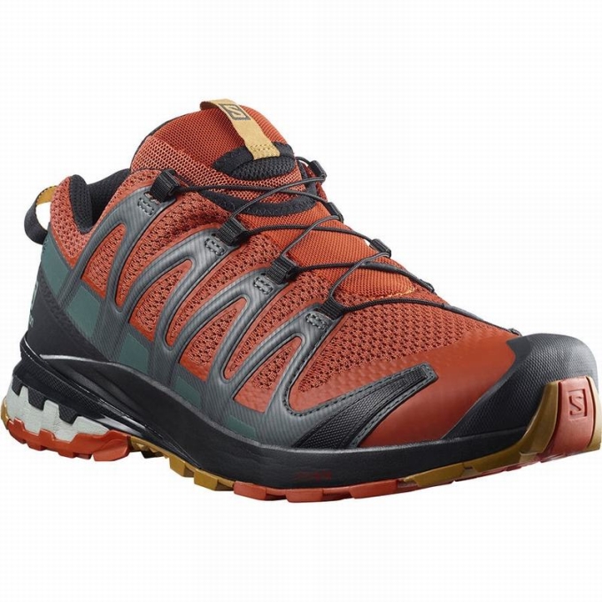 Tenis Para Trail Running Salomon XA PRO 3D V8 Hombre Negros | MX-206TFQM