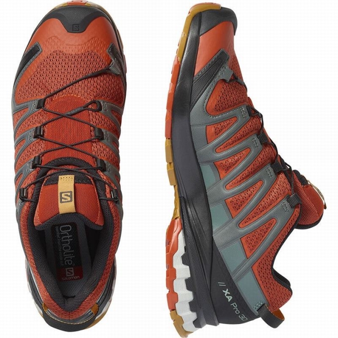 Tenis Para Trail Running Salomon XA PRO 3D V8 Hombre Negros | MX-206TFQM