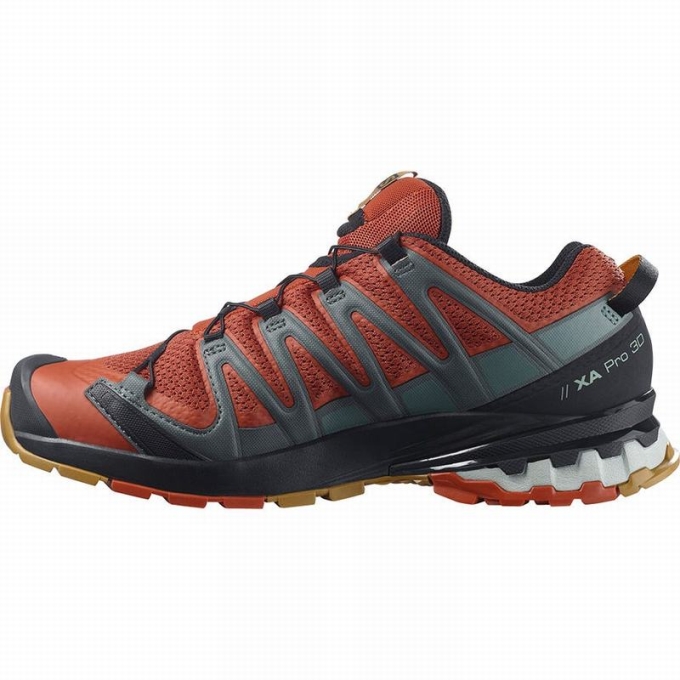 Tenis Para Trail Running Salomon XA PRO 3D V8 Hombre Negros | MX-206TFQM