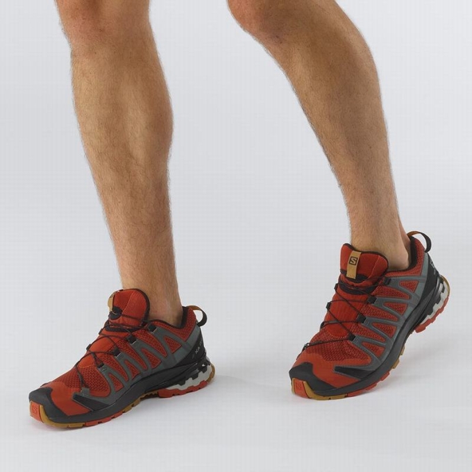 Tenis Para Trail Running Salomon XA PRO 3D V8 Hombre Negros | MX-206TFQM