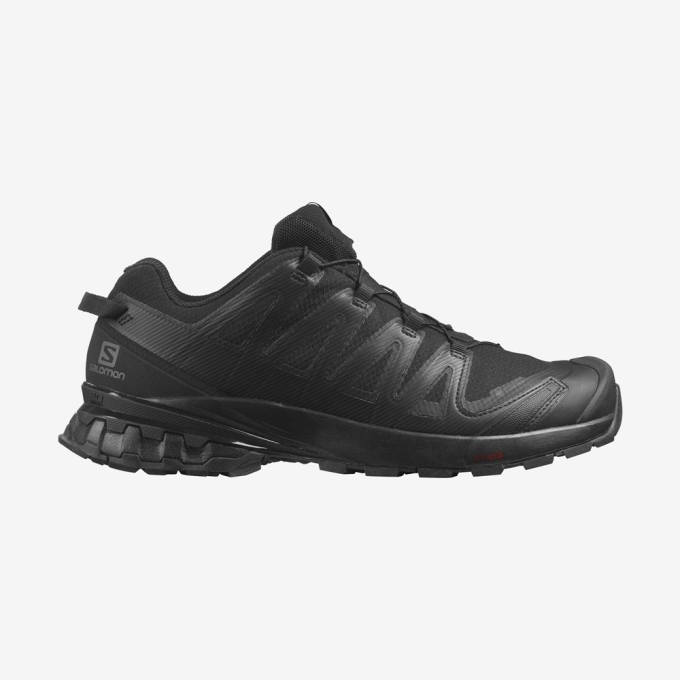 Tenis Para Trail Running Salomon XA PRO 3D V8 GORE-TEX Hombre Negros | MX-207NYFJ