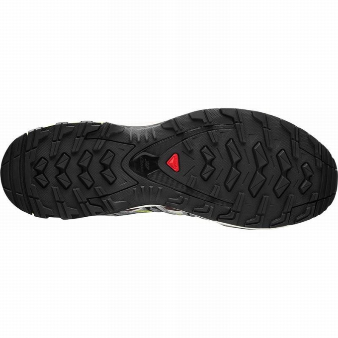 Tenis Para Trail Running Salomon XA PRO 3D Hombre Plateados Verdes Claro | MX-280ZEAL