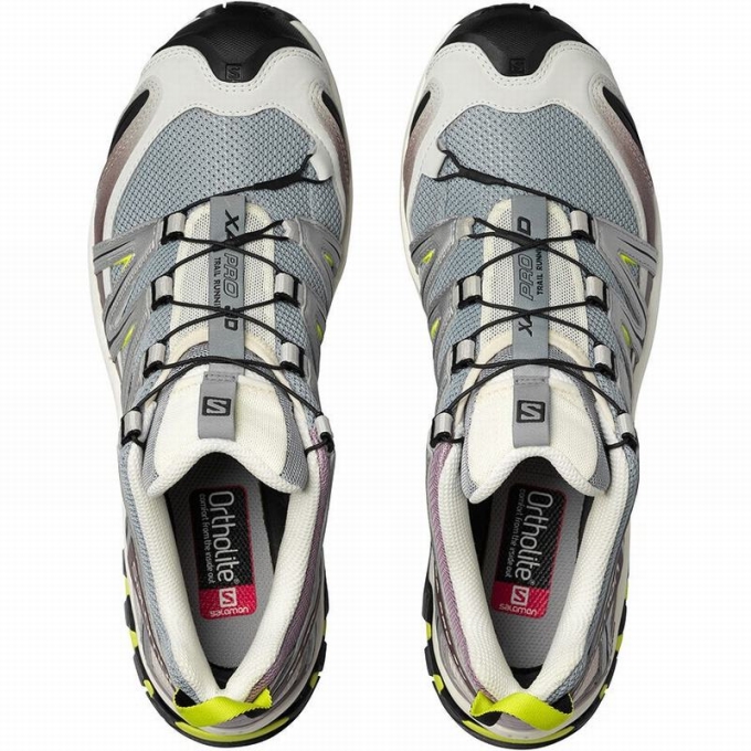 Tenis Para Trail Running Salomon XA PRO 3D Hombre Plateados Verdes Claro | MX-280ZEAL