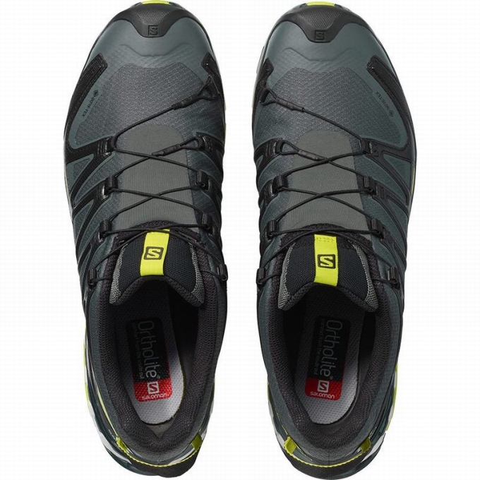 Tenis Para Trail Running Salomon XA PRO 3D V8 GORE-TEX Hombre Negros Verdes Claro | MX-370VIKF