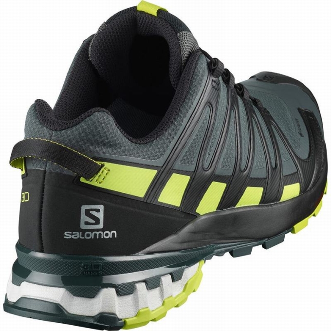 Tenis Para Trail Running Salomon XA PRO 3D V8 GORE-TEX Hombre Negros Verdes Claro | MX-370VIKF