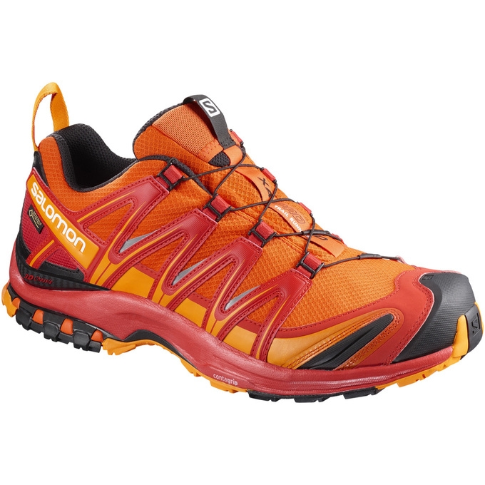 Tenis Para Trail Running Salomon XA PRO 3D GTX Hombre Naranjas | MX-430JAEU