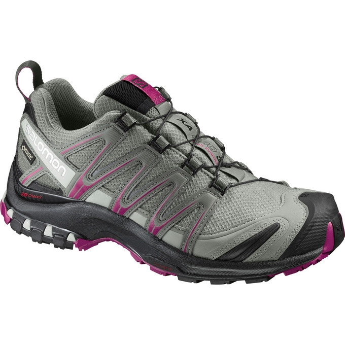 Tenis Para Trail Running Salomon XA PRO 3D GTX W Mujer Plateados | MX-602KJMX