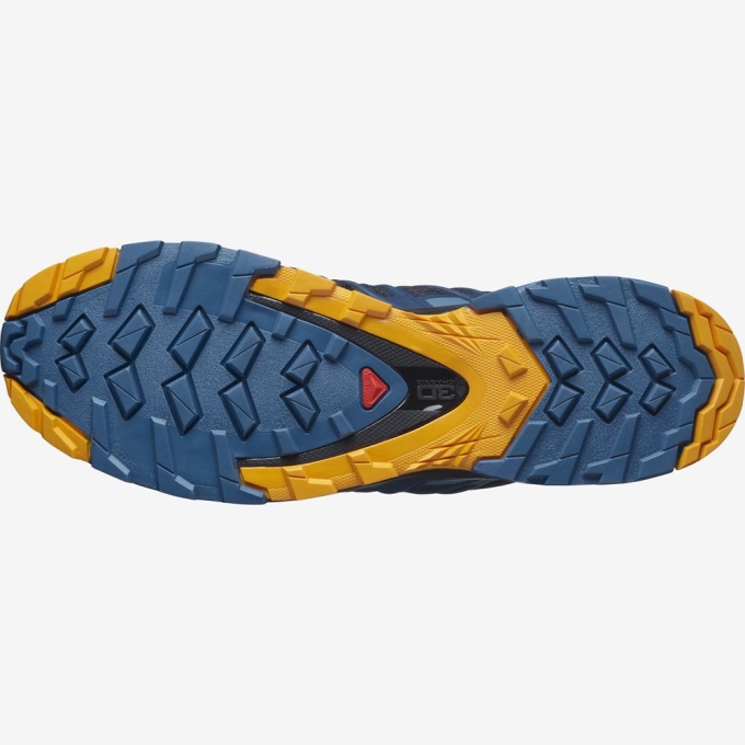 Tenis Para Trail Running Salomon XA PRO 3D V8 Hombre Azules | MX-609EVOK