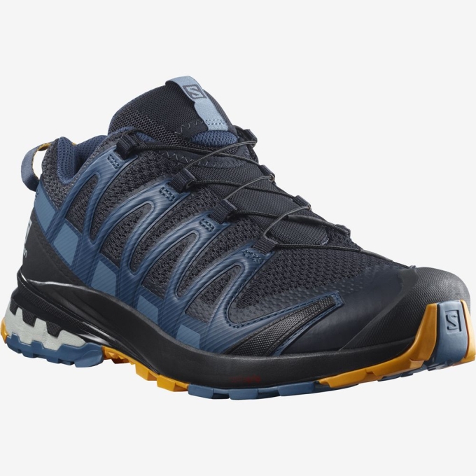 Tenis Para Trail Running Salomon XA PRO 3D V8 Hombre Azules | MX-609EVOK