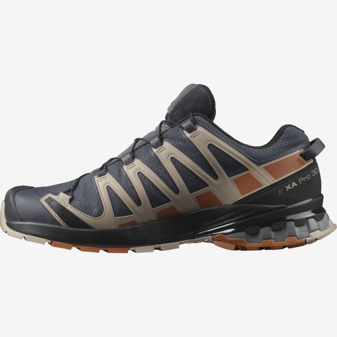 Tenis Para Trail Running Salomon XA PRO 3D V8 GORE-TEX Hombre Multicolor | MX-615IQYD