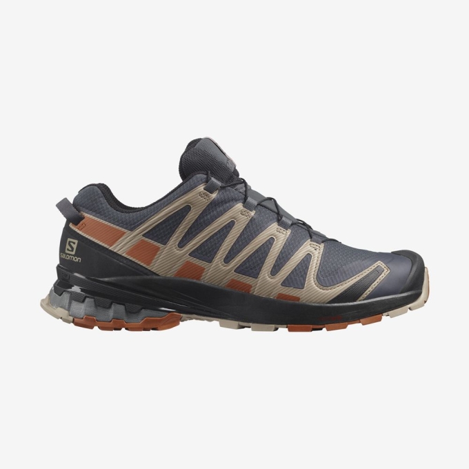 Tenis Para Trail Running Salomon XA PRO 3D V8 GORE-TEX Hombre Multicolor | MX-615IQYD