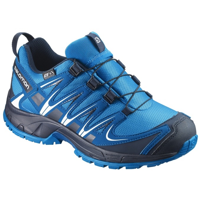 Tenis Para Trail Running Salomon XA PRO 3D CSWP J Niños Azules Azul Marino | MX-635XAFS