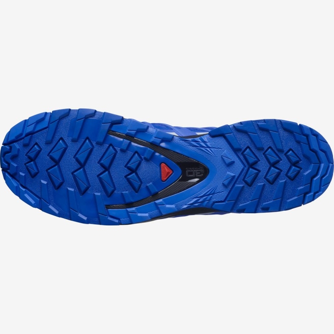 Tenis Para Trail Running Salomon XA PRO 3D V8 GORE-TEX Hombre Azules | MX-683AWSY