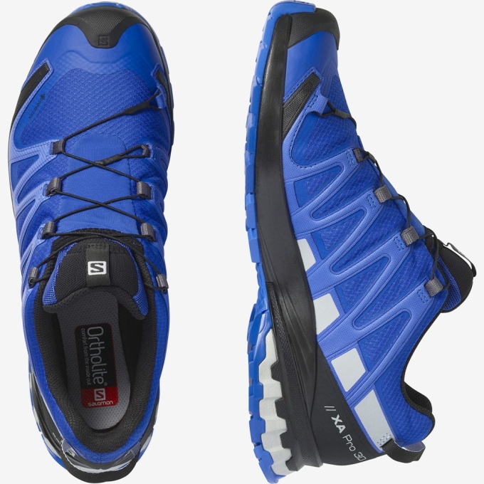 Tenis Para Trail Running Salomon XA PRO 3D V8 GORE-TEX Hombre Azules | MX-683AWSY