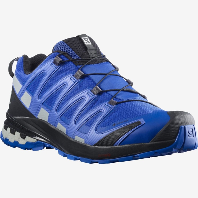 Tenis Para Trail Running Salomon XA PRO 3D V8 GORE-TEX Hombre Azules | MX-683AWSY