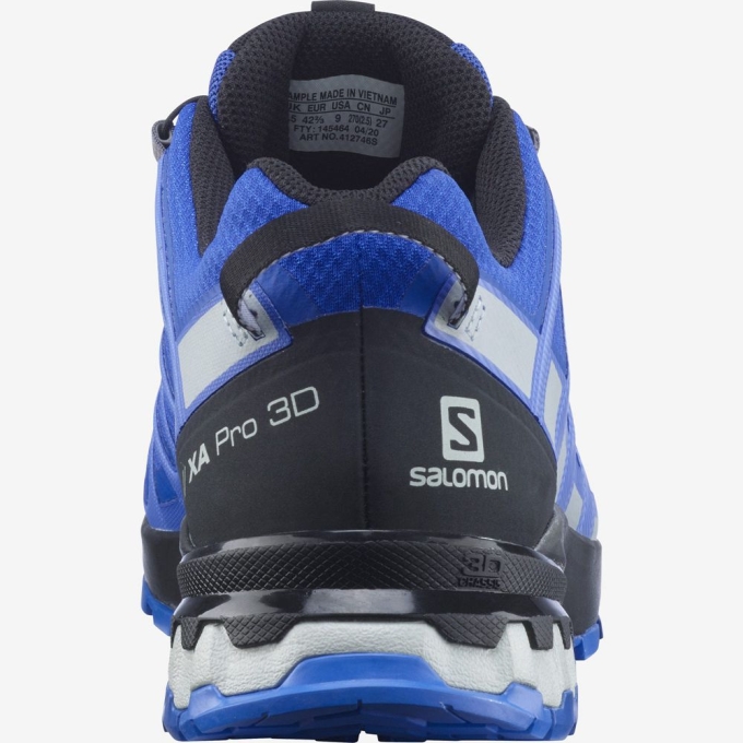 Tenis Para Trail Running Salomon XA PRO 3D V8 GORE-TEX Hombre Azules | MX-683AWSY