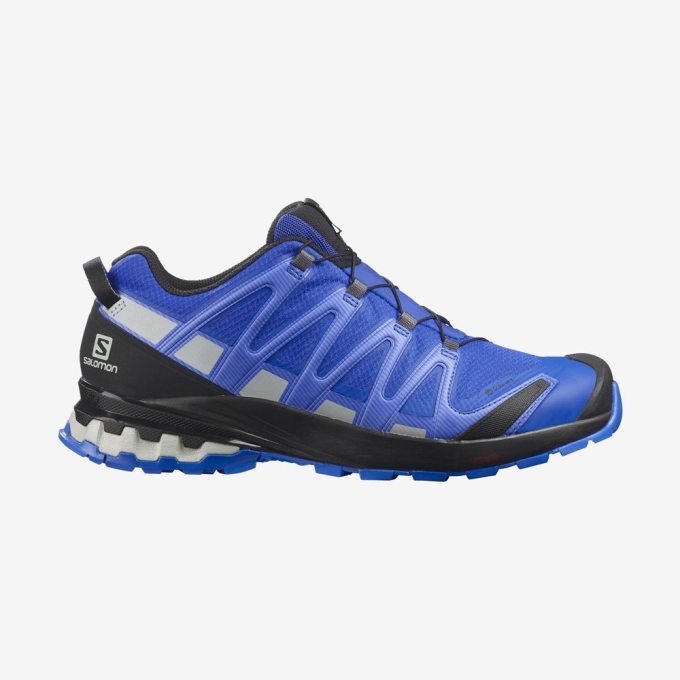 Tenis Para Trail Running Salomon XA PRO 3D V8 GORE-TEX Hombre Azules | MX-683AWSY