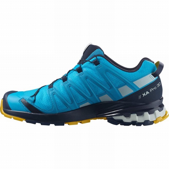 Tenis Para Trail Running Salomon XA PRO 3D V8 GORE-TEX Hombre Azules | MX-723ETFB