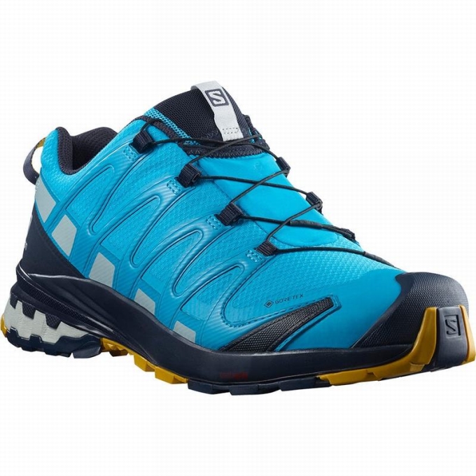 Tenis Para Trail Running Salomon XA PRO 3D V8 GORE-TEX Hombre Azules | MX-723ETFB