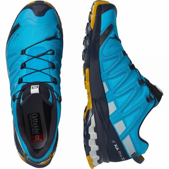 Tenis Para Trail Running Salomon XA PRO 3D V8 GORE-TEX Hombre Azules | MX-723ETFB