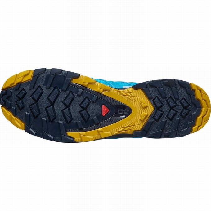 Tenis Para Trail Running Salomon XA PRO 3D V8 GORE-TEX Hombre Azules | MX-723ETFB