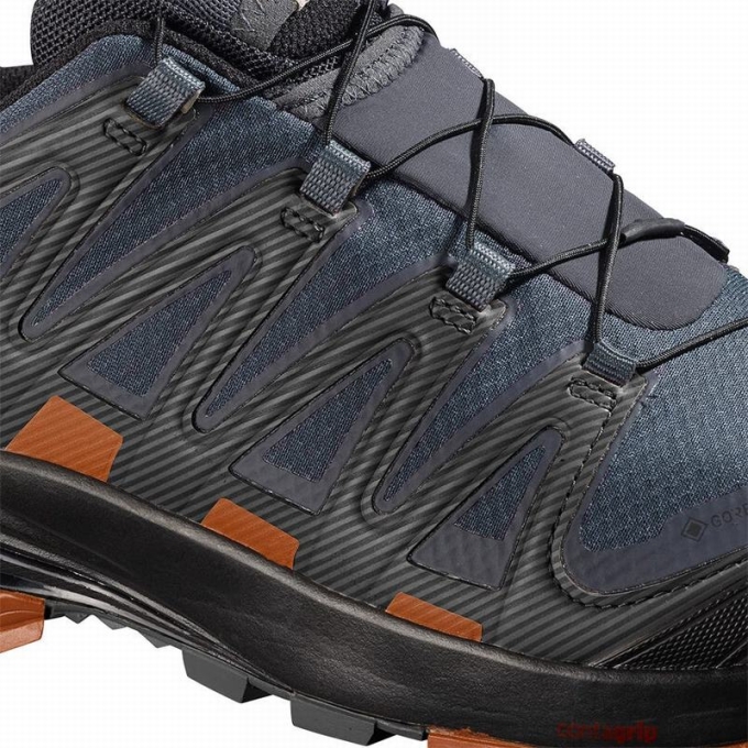 Tenis Para Trail Running Salomon XA PRO 3D V8 GORE-TEX Hombre Azules Oscuro Negros | MX-759QANY