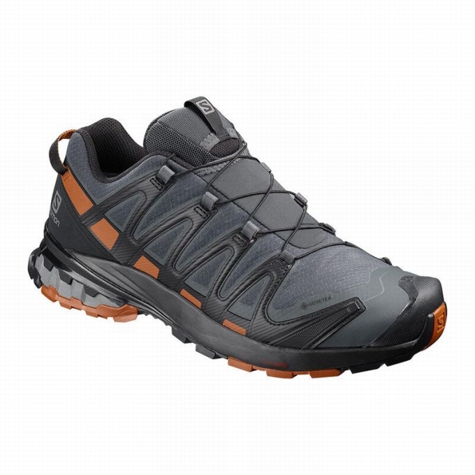 Tenis Para Trail Running Salomon XA PRO 3D V8 GORE-TEX Hombre Azules Oscuro Negros | MX-759QANY