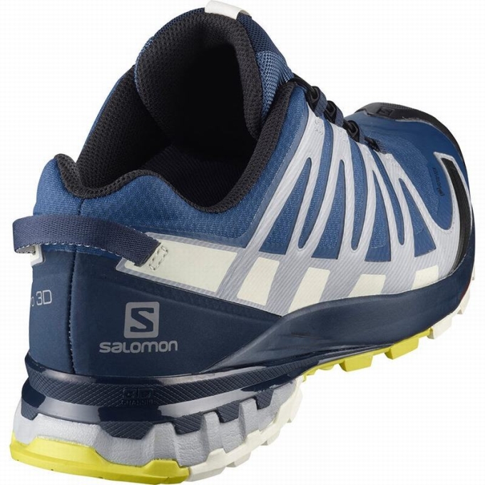 Tenis Para Trail Running Salomon XA PRO 3D V8 GORE-TEX Hombre Azul Marino | MX-763VFEP