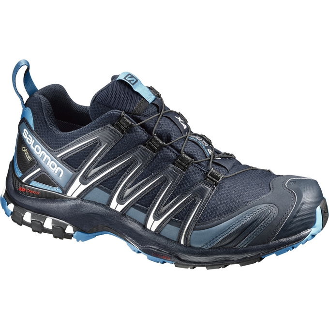 Tenis Para Trail Running Salomon XA PRO 3D GTX Hombre Azul Marino | MX-810SVUD