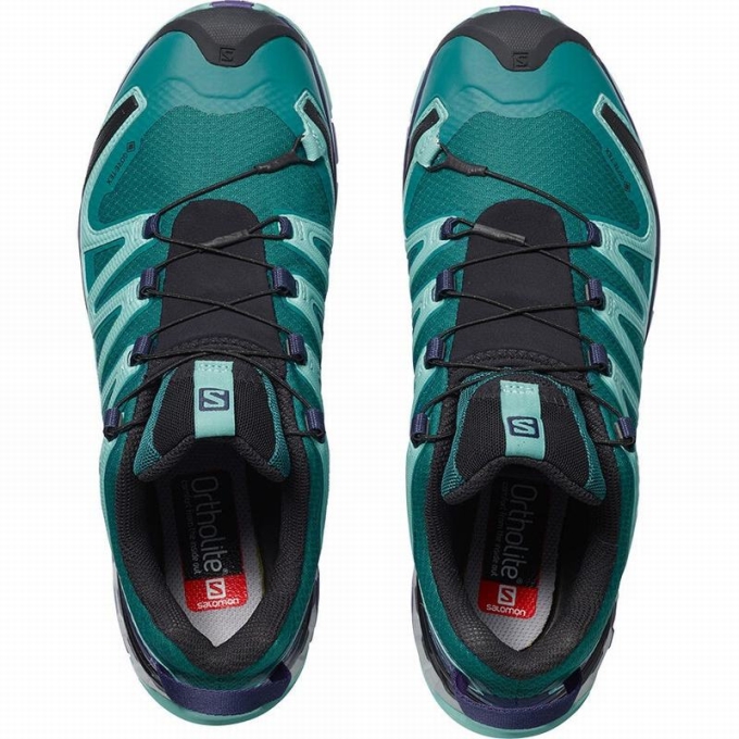 Tenis Para Trail Running Salomon XA PRO 3D V8 GORE-TEX Mujer Azules | MX-841SRNH