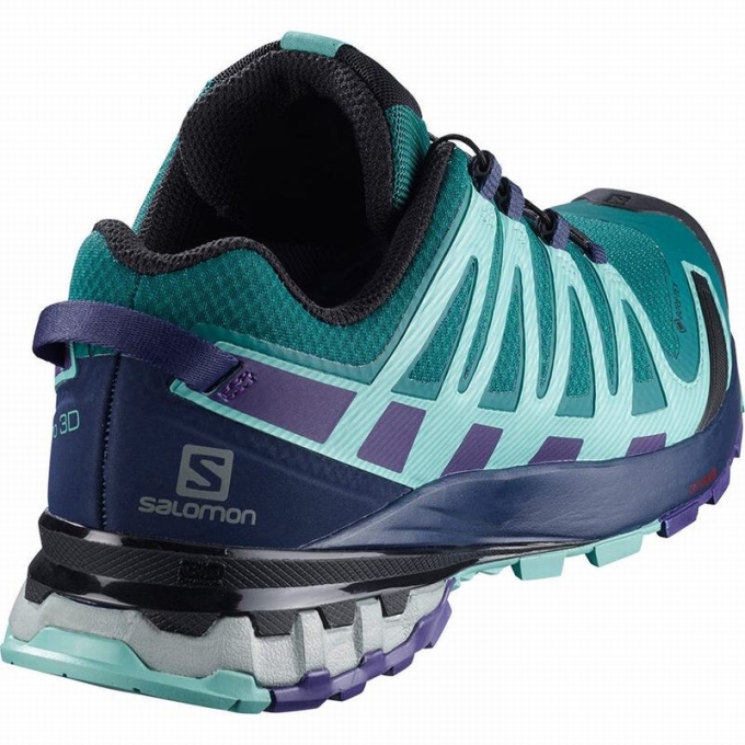 Tenis Para Trail Running Salomon XA PRO 3D V8 GORE-TEX Mujer Azules | MX-841SRNH