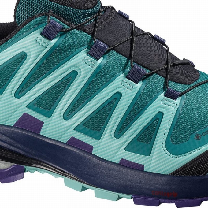 Tenis Para Trail Running Salomon XA PRO 3D V8 GORE-TEX Mujer Azules | MX-841SRNH