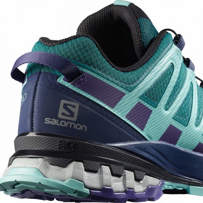 Tenis Para Trail Running Salomon XA PRO 3D V8 GORE-TEX Mujer Azules | MX-841SRNH