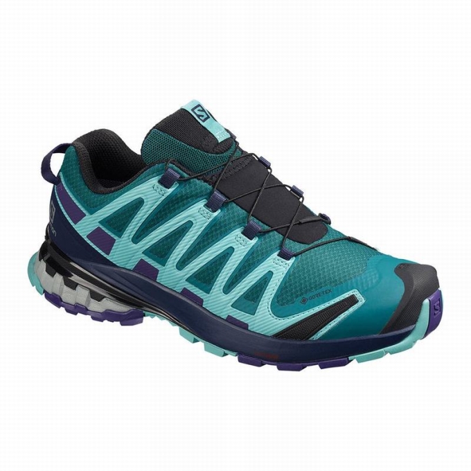 Tenis Para Trail Running Salomon XA PRO 3D V8 GORE-TEX Mujer Azules | MX-841SRNH