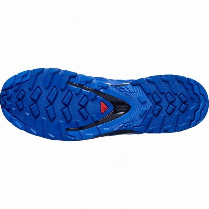 Tenis Para Trail Running Salomon XA PRO 3D V8 GORE-TEX Hombre Negros Azules | MX-954EBIV