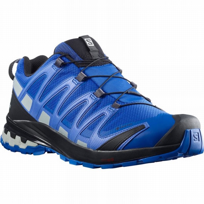 Tenis Para Trail Running Salomon XA PRO 3D V8 GORE-TEX Hombre Negros Azules | MX-954EBIV