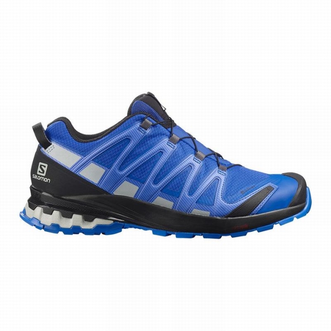 Tenis Para Trail Running Salomon XA PRO 3D V8 GORE-TEX Hombre Negros Azules | MX-954EBIV