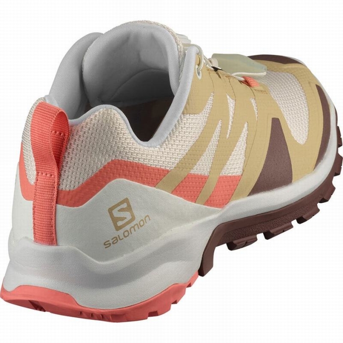 Tenis Para Trail Running Salomon XA ROGG W Mujer Beige Kaki | MX-105HYNK