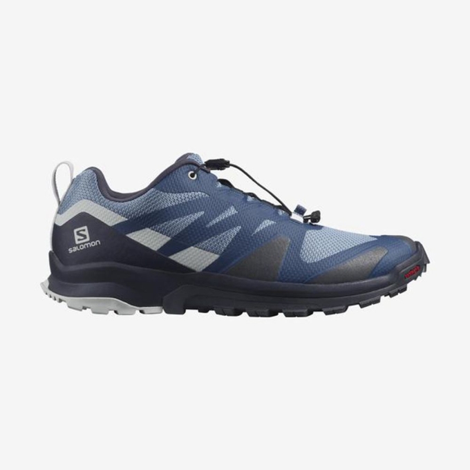 Tenis Para Trail Running Salomon XA ROGG Hombre Negros | MX-107SCXB