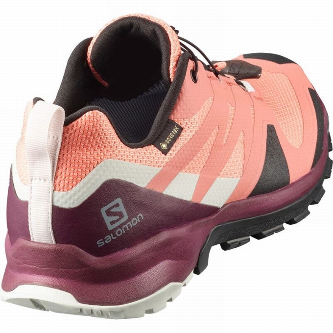 Tenis Para Trail Running Salomon XA ROGG GTX W Mujer Coral Negros | MX-352EZHF